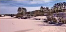 Purple Snow in Russia (Video Report)