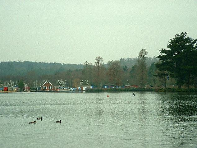 A Tale of Two Headlines, Abused to Death, or Tragic Accident?