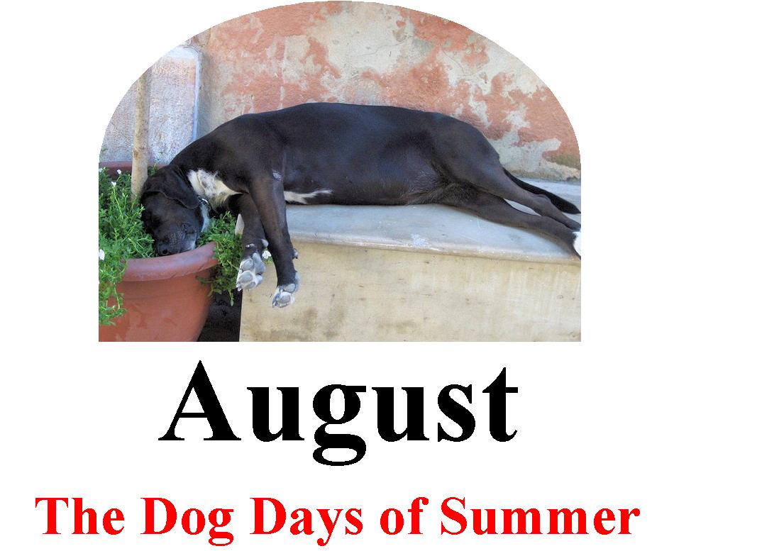 Islam’s Continuing Assault on America Includes Reaching Disenfranchised Men