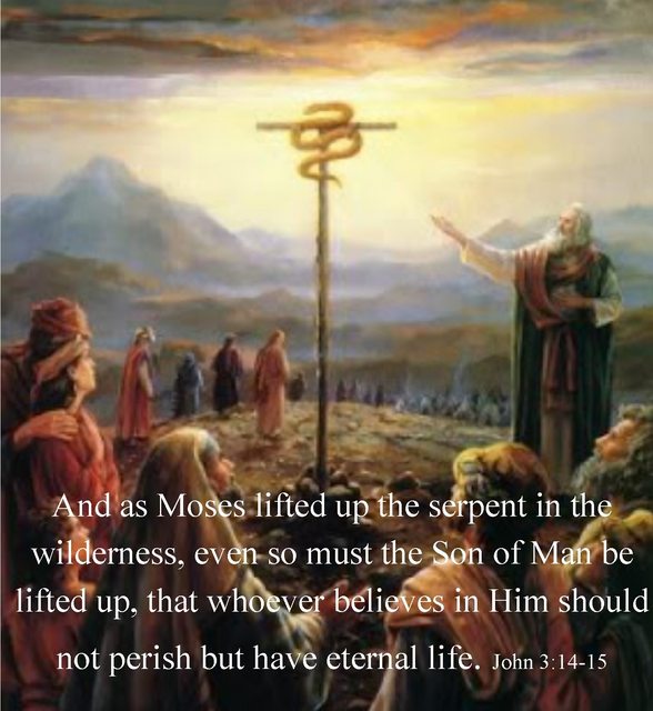 Lifted Up, Like A Snake The Desert