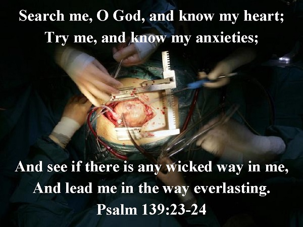 Search My Heart Lord Psalm 139:23-24