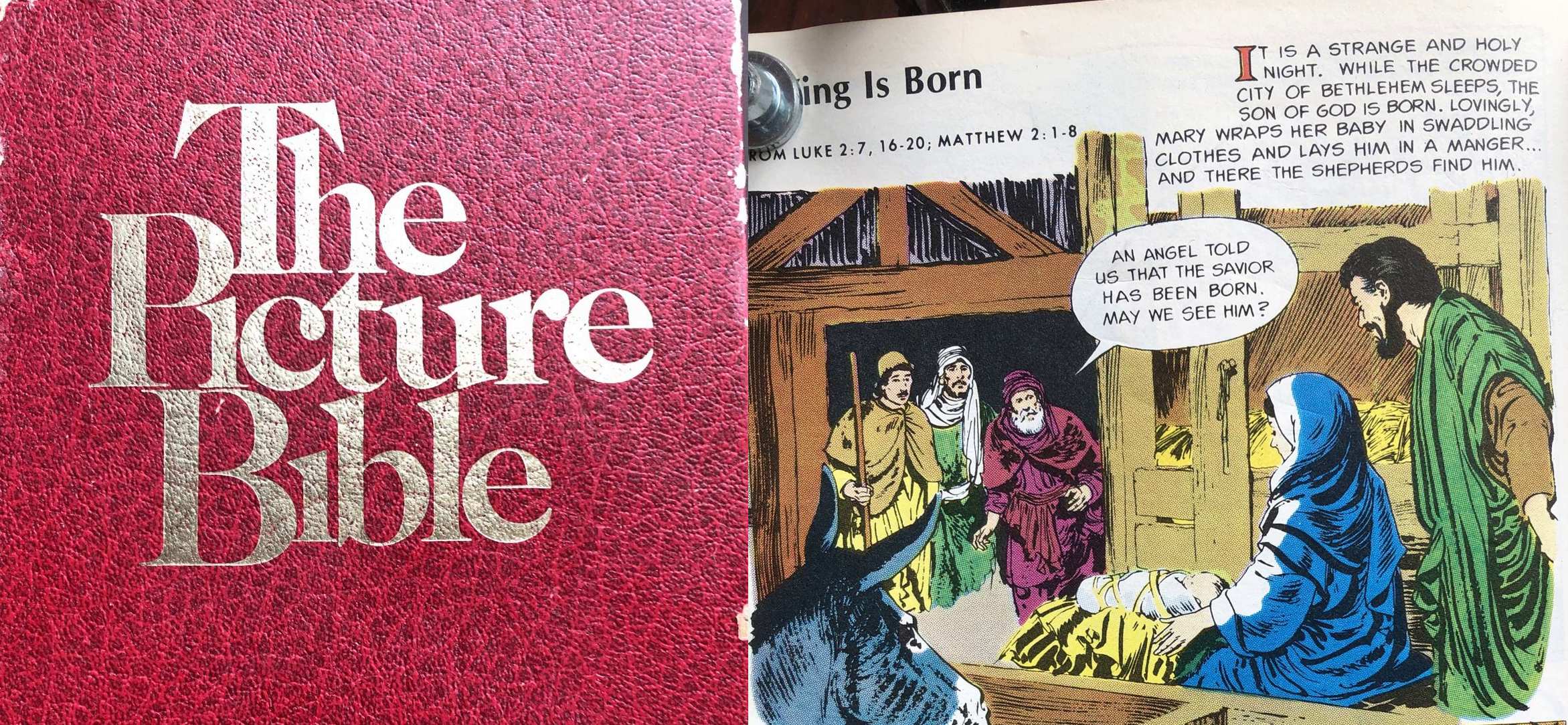 The Picture Bible