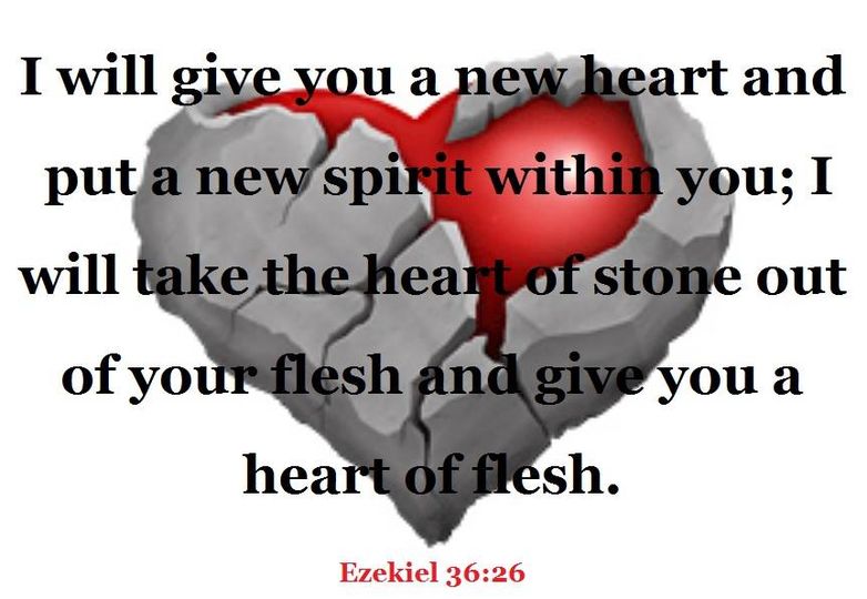 Manufacturer, Recalls All Active Human Models