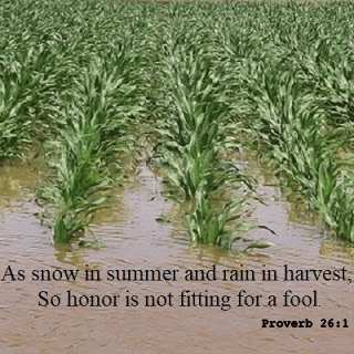 Proverb 26:1 Only A Fool Would Want Rain At Harvest Time