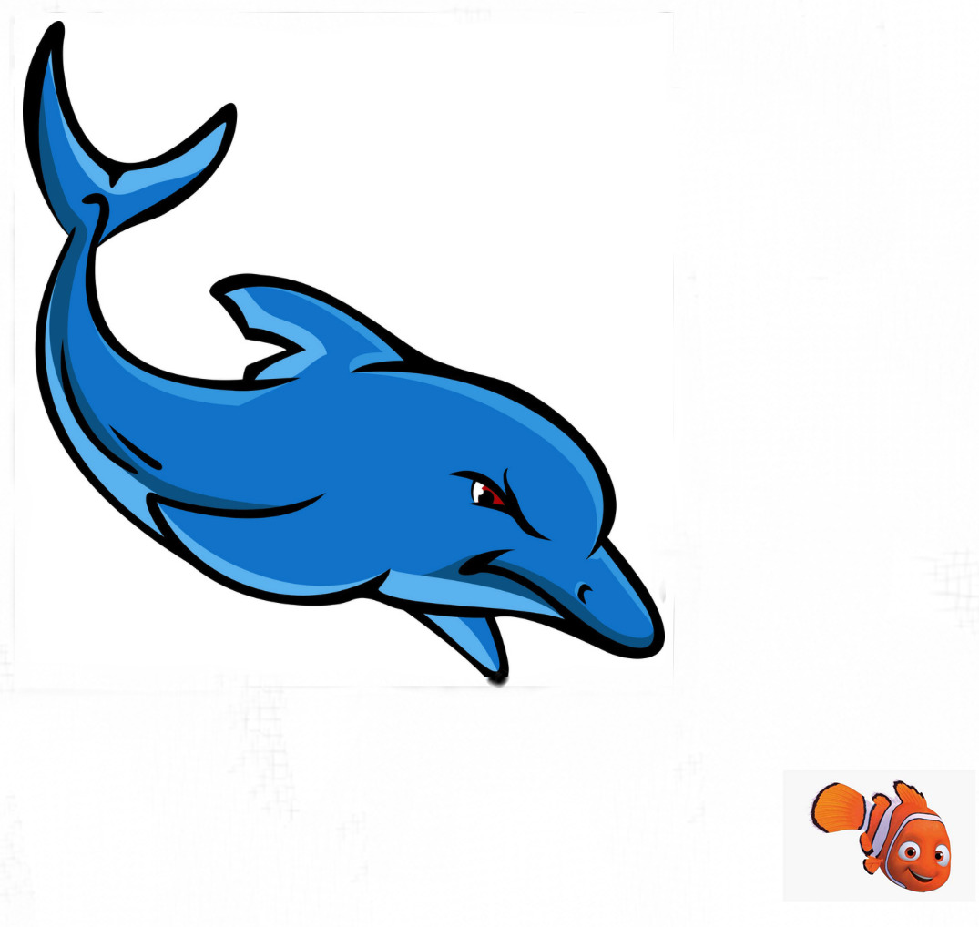 Flipper Chases Nemo (Video)