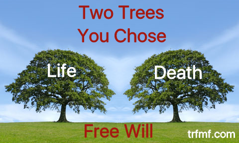 No Human Was Created For Hell