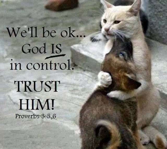 Trust The Lord
