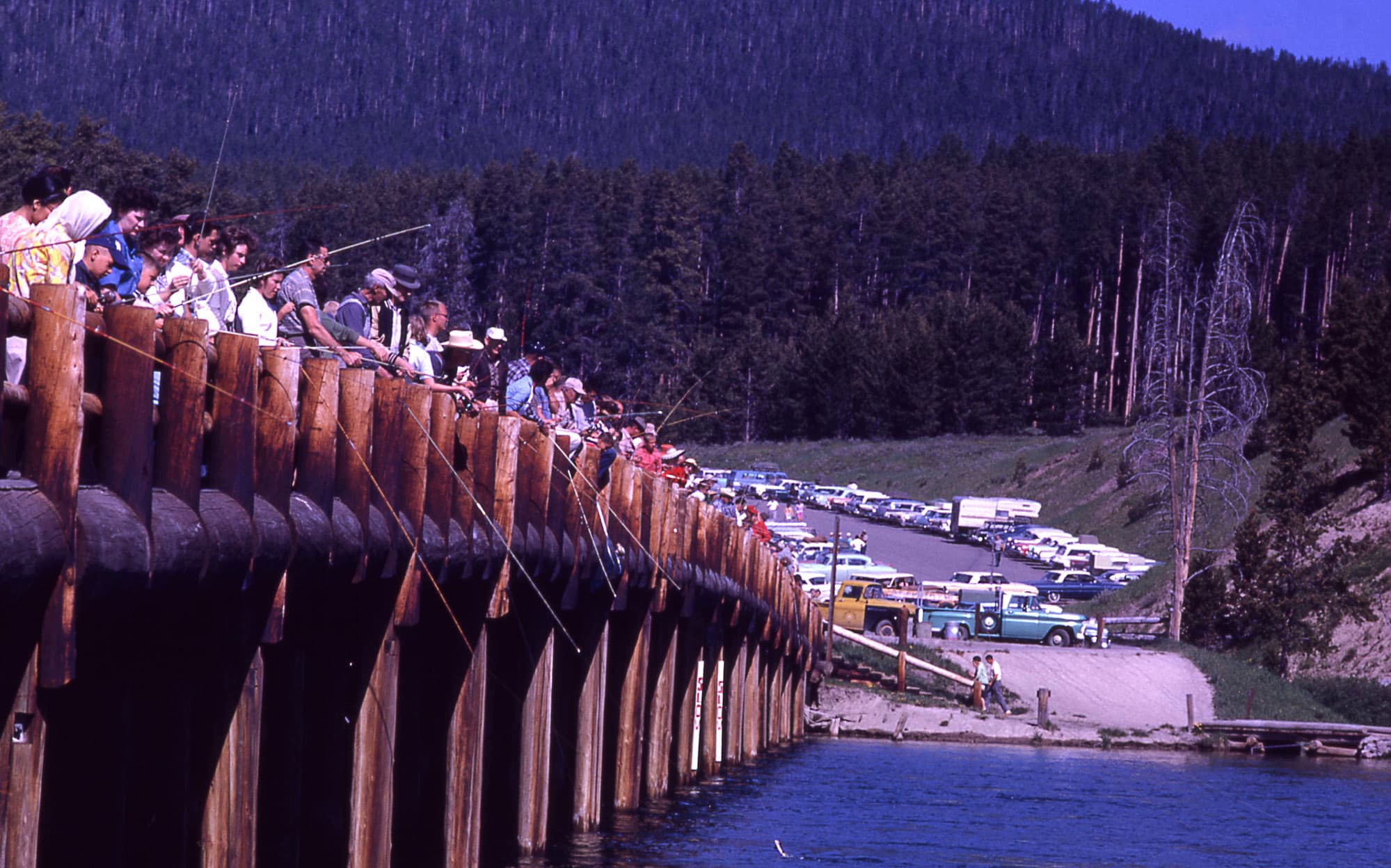 My memory Of Yellowstone’s Famous Fishing Bridge