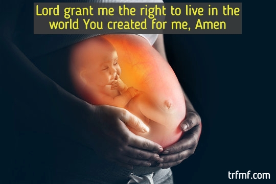 An Innocents Prayer For Life